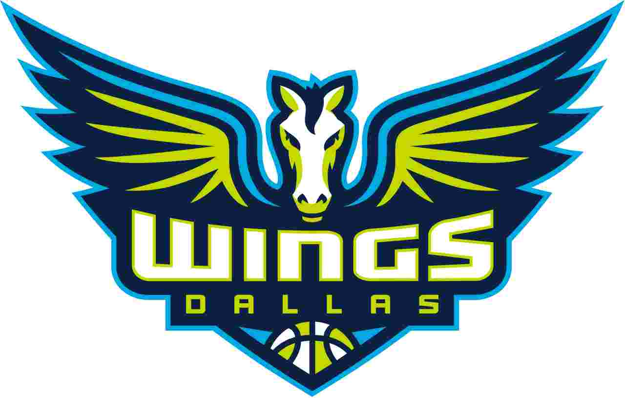 飞翼